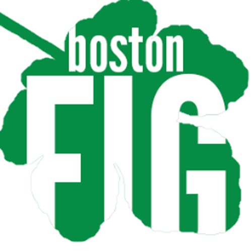 Boston FIG